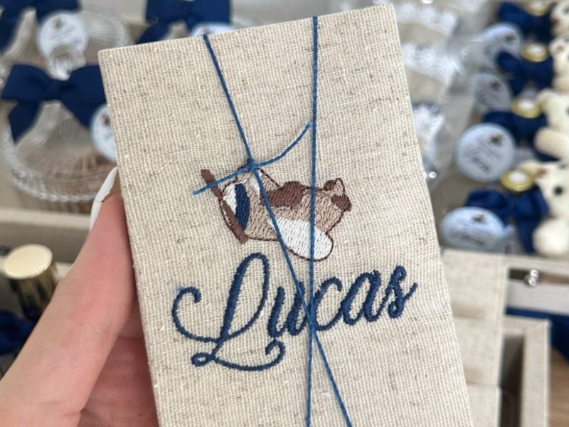 O avi�ozinho bordado em marrom e azul acima de Lucas em cursiva azul, na capa de linho