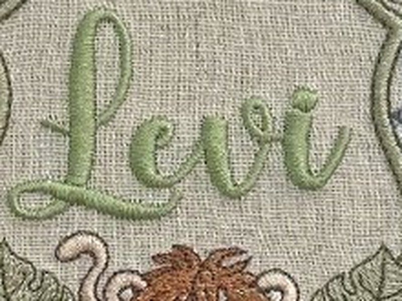O nome Levi bordado por inteiro em cursiva verde, dentro da moldura hexagonal de galho