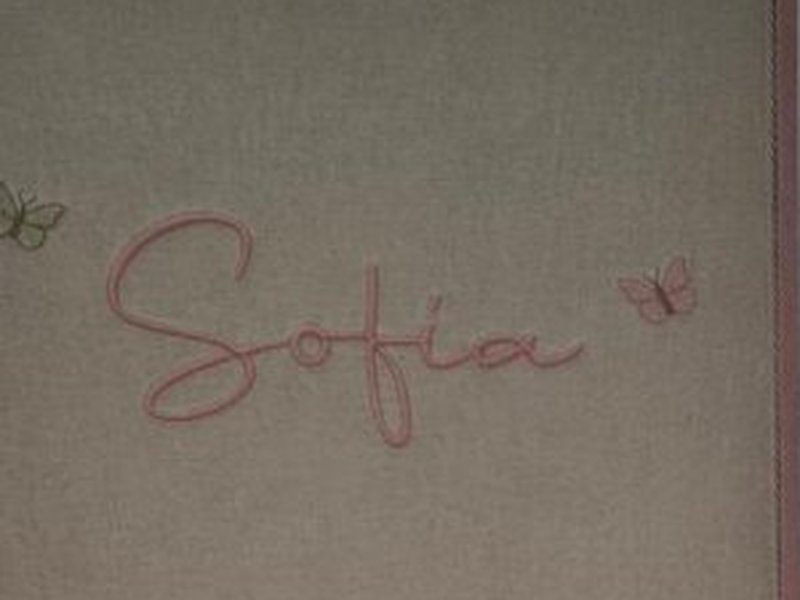 Nome Sofia bordado por inteiro em cursiva rosa com duas borboletas, na tampa interna