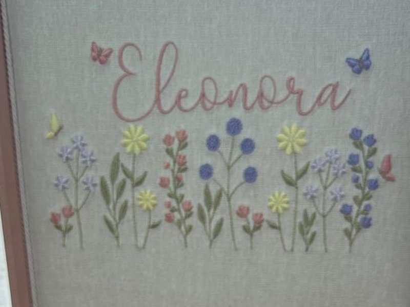 Eleonora bordado por inteiro em cursiva rosa entre duas borboletas, uma rosa e uma azul