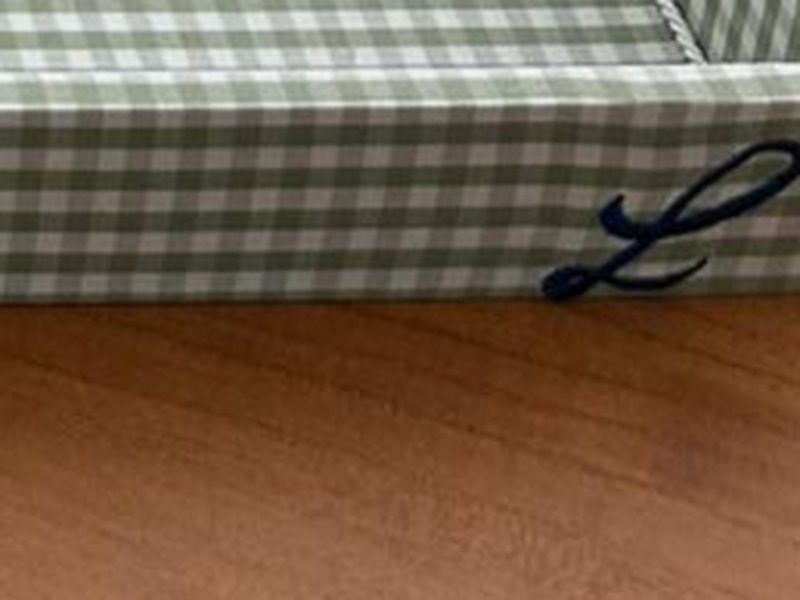 A letra L em cursiva azul escuro bordada na lateral direita da bandeja de xadrez vichy verde
