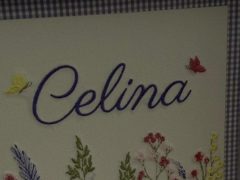 Celina inteiro em cursiva roxa grande, ladeado por uma borboleta amarela � esquerda e uma vermelha � direita