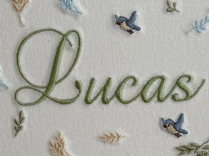 O nome Lucas bordado por inteiro em cursiva verde ao centro do linho