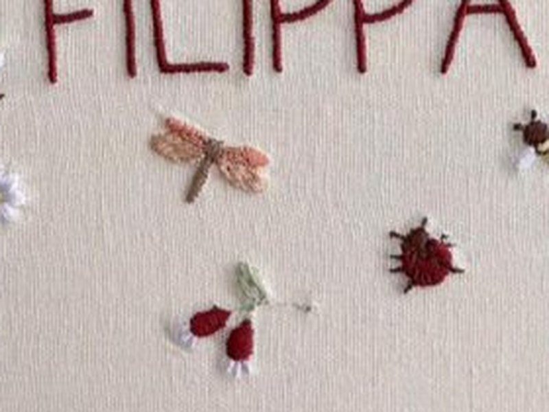 Libelula de asas rosadas, joaninha, abelha e frutinhas vermelhas bordadas em relevo sob o nome