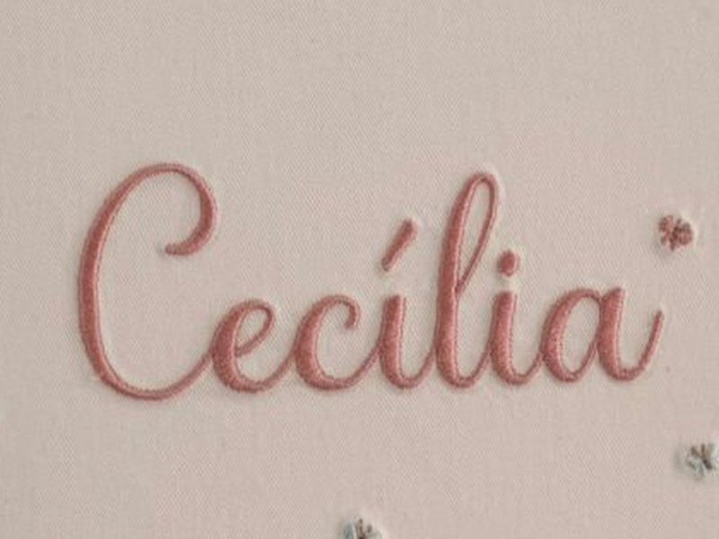 O nome Cec�lia bordado inteiro em ponto cheio, com o relevo da linha vis�vel